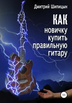 Читать Как новичку купить правильную гитару - Дмитрий Шипицын