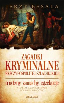 Читать Zagadki kryminalne Rzeczypospolitej szlacheckiej - Jerzy Besala