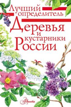 Читать Деревья и кустарники России. Определитель - Ирина Пескова