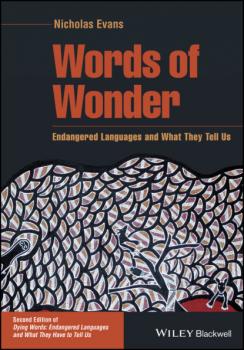Читать Words of Wonder - Nicholas  Evans