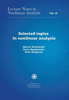 Читать Selected topics in nonlinear analysis - Marcin Borkowski
