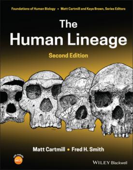 Читать The Human Lineage - Matt  Cartmill