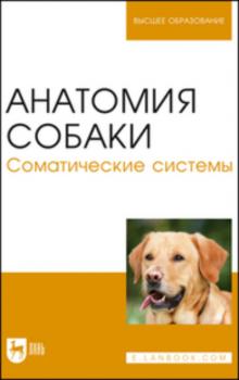 Читать Анатомия собаки. Соматические системы - Н. В. Бабичев