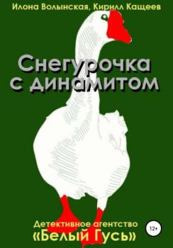Читать Снегурочка с динамитом - Кирилл Кащеев