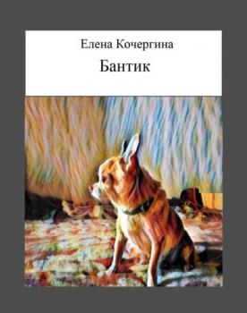 Читать Бантик - Елена Александровна Кочергина
