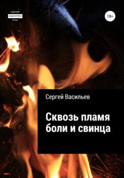 Читать Сквозь пламя боли и свинца - Сергей Васильев
