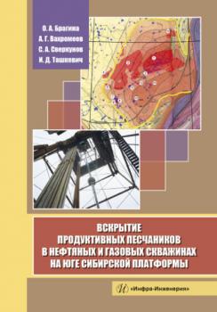 Читать Вскрытие продуктивных песчаников в нефтяных и газовых скважинах на юге Сибирской платформы - А. Г. Вахромеев