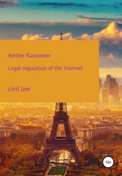 Читать Legal regulation of the Internet - Антон Олегович Калинин