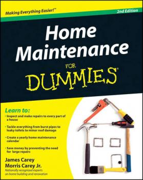 Читать Home Maintenance For Dummies - James  Carey
