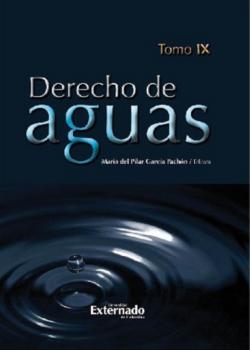 Читать Derecho de Aguas. Tomo IX - Eduardo Del Valle Mora