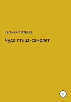 Читать Чудо птица-самолет - Евгений Матвеев