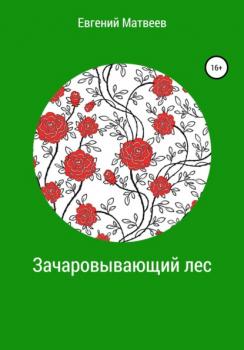 Читать Зачаровывающий лес - Евгений Матвеев
