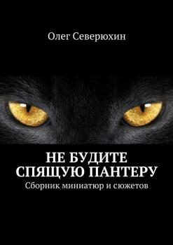 Читать Не будите спящую пантеру - Олег Северюхин