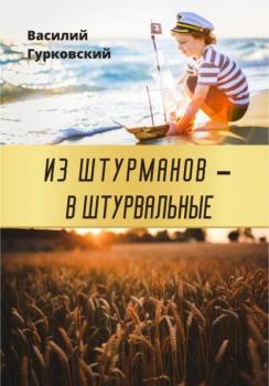 Читать Из штурманов – в штурвальные - Василий Гурковский