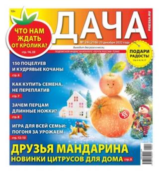 Читать Дача Pressa.ru 24-2022 - Редакция газеты Дача Pressa.ru