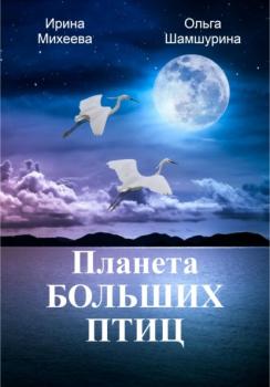 Читать Планета Больших Птиц - Ольга Шамшурина
