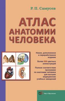 Читать Атлас анатомии человека. Учебное пособие для студентов высшего профессионального образования - Р. П. Самусев