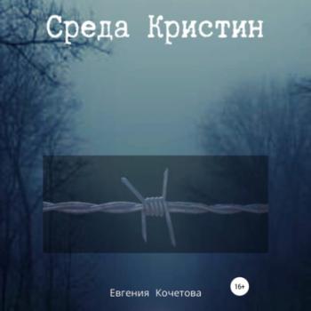 Читать Среда Кристин - Евгения Олеговна Кочетова