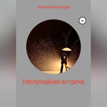 Читать Неслучайная встреча - Алексей Вениаминович Виноградов