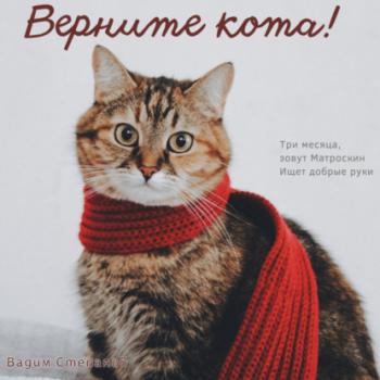 Читать Верните кота - Вадим Степанов
