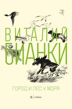 Читать Город и лес у моря (сборник) - Виталий Бианки