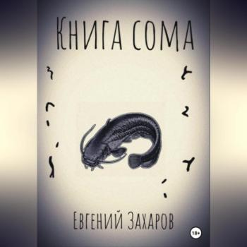 Читать Книга сома - Евгений Владимирович Захаров