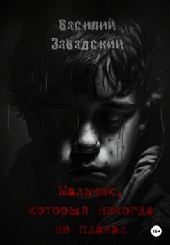 Читать Мальчик, который никогда не плакал - Василий Сергеевич Завадский