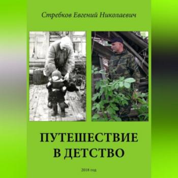 Читать Путешествие в детство - Евгений Николаевич Стребков