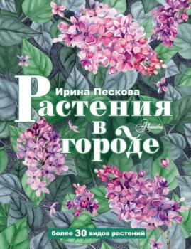 Читать Растения в городе - Ирина Пескова