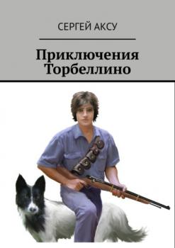 Читать Приключения Торбеллино - Сергей Аксу