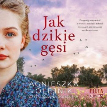 Читать Jak dzikie gęsi - Agnieszka Olejnik
