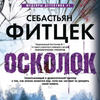 Читать Осколок - Себастьян Фитцек