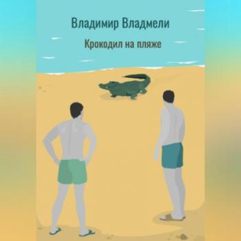 Читать Крокодил на пляже - Владимир Владмели
