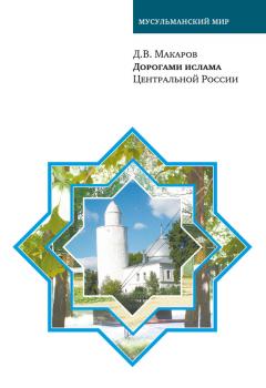 Читать Дорогами ислама Центральной России - Д. В. Макаров