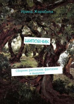 Читать Шиповник - Ирина Жеребина
