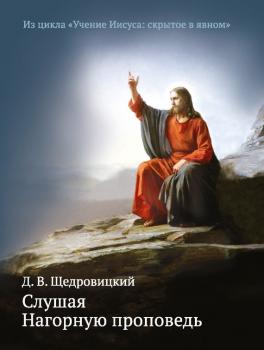 Читать Слушая Нагорную проповедь - Дмитрий Щедровицкий