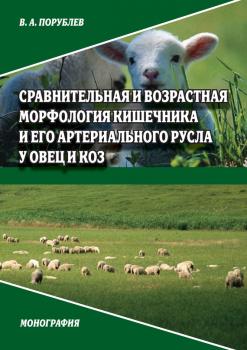 Читать Сравнительная и возрастная морфология кишечника и его артериального русла у овец и коз - В. А. Порублев