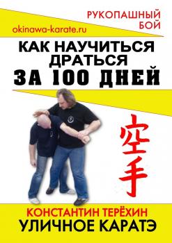 Читать Уличное каратэ. Как научиться драться за 100 дней - Константин Терёхин
