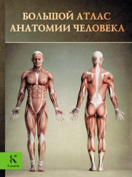Читать Большой атлас анатомии человека - Винсент Перез