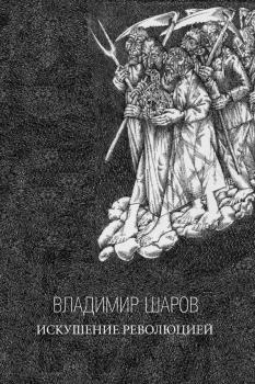 Читать Искушение Революцией - Владимир Шаров