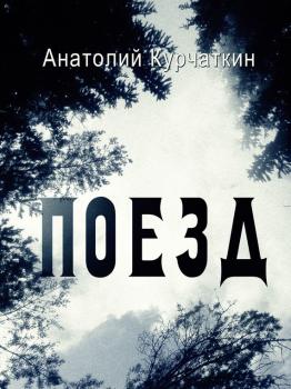 Читать Поезд - Анатолий Курчаткин