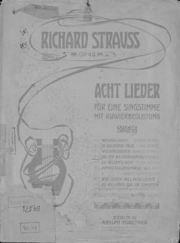 Читать Das Lied des Steinklopfers - Рихард Штраус