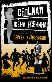 Читать Седьмая жена Есенина (сборник) - Сергей Кузнечихин