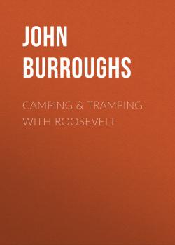 Читать Camping & Tramping with Roosevelt - John Burroughs