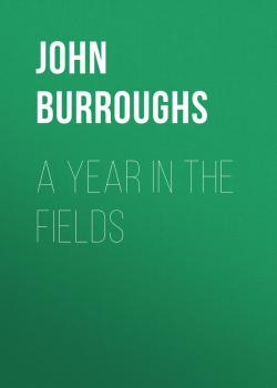 Читать A Year in the Fields - John Burroughs