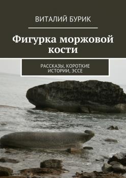 Читать Фигурка моржовой кости. Рассказы, короткие истории, эссе - Виталий Бурик