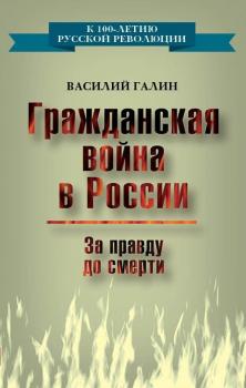 Читать Гражданская война в России. За правду до смерти - Василий Галин