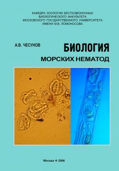Читать Биология морских нематод - А. В. Чесунов