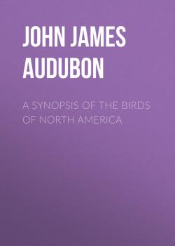 Читать A Synopsis of the Birds of North America - John James Audubon