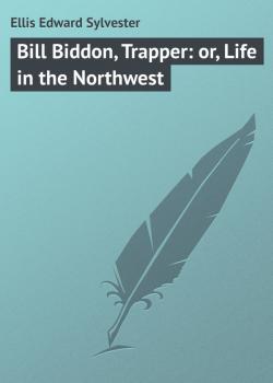 Читать Bill Biddon, Trapper: or, Life in the Northwest - Ellis Edward Sylvester